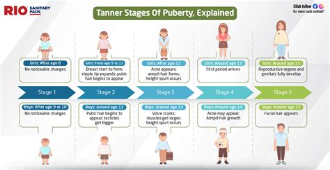 teen tits gif|Stages of Puberty Explained in Pictures